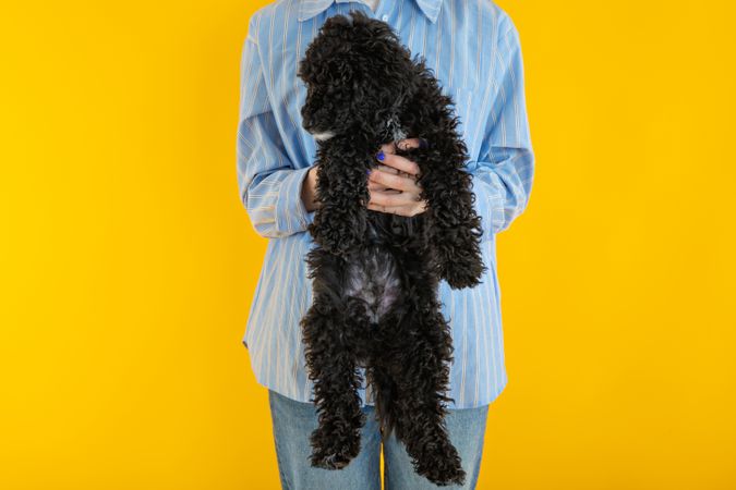 Woman in blue shirt holding up cute dog