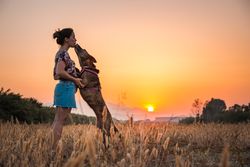 Female playing with dog at hilly area in evening