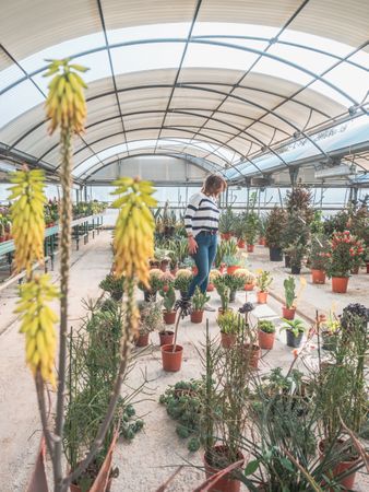 Female studying flowers in greenhouse