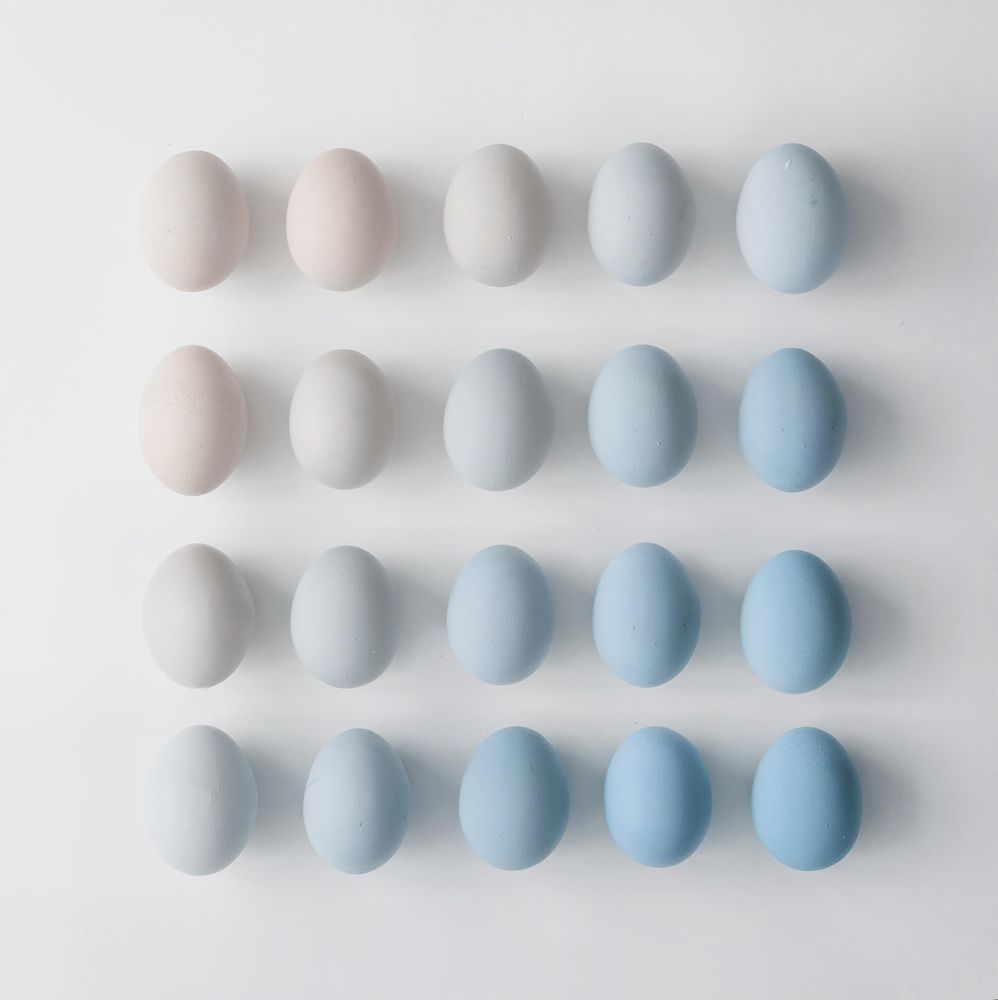 Rows of eggs on light background