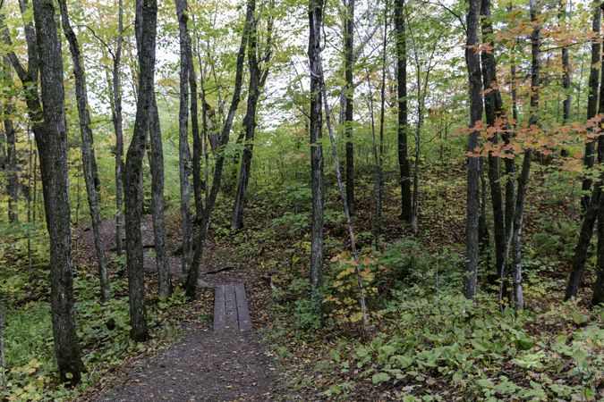 The Oberg Mountain Trail in Tofte, Minnesota