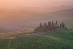 Peaceful green field at sunset