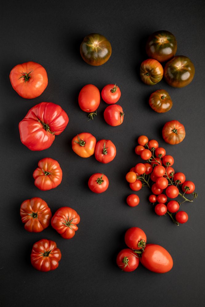 from above view of tomatoes on a dark surface