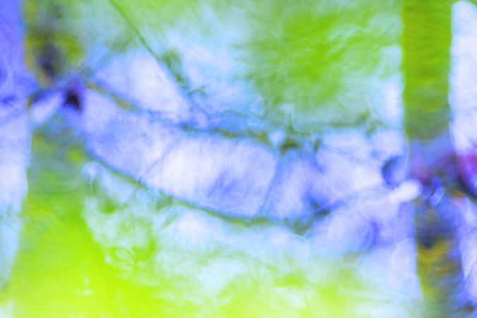 Tender dry leaves in blue light effect