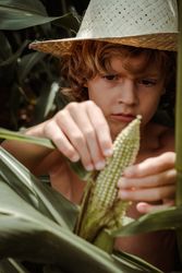 Boy in straw hat exploring corn