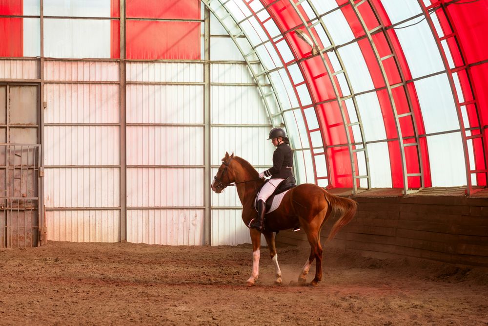 Equestrian performing dressage in arena
