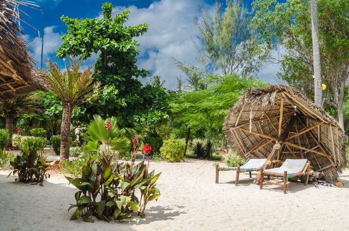 Tropical beach scene