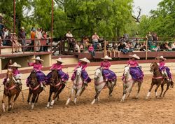 Scene from a Charrería, at Fiesta celebration in San Antonio, Texas R0JD84