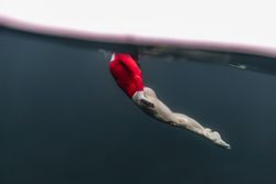 Woman diving in blue waving water