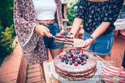 Woman serving chocolate cake in a summer party beXXMK