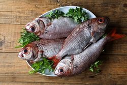 Big fish with red tail in plate