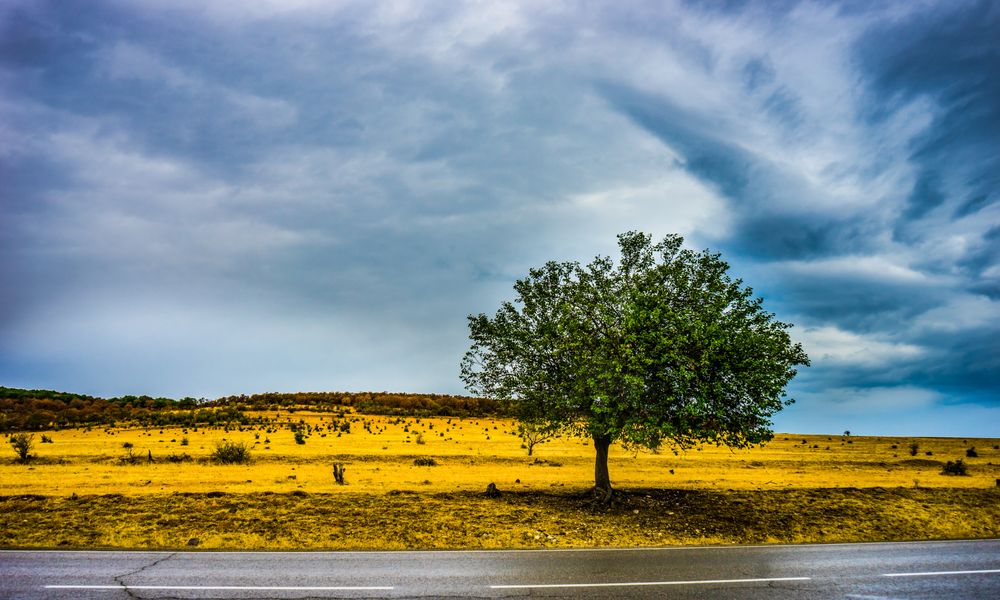 Autumnal landscape of Kakheti region of Georgia