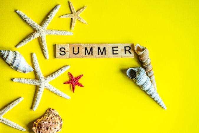 "Summer" on yellow background with sea shells