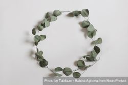 Green floral wreath made of dry eucalyptus tree leaves and branches 0LdEMR
