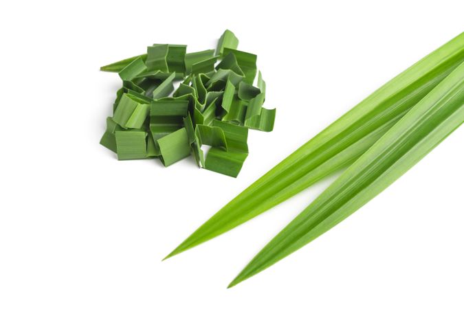 pandan