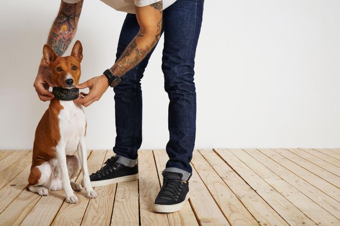 Tattooed man leaning down putting collar on dog