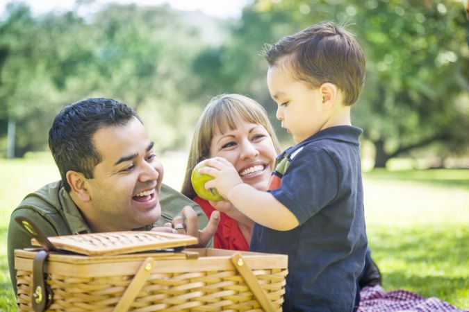 Family Enjoy a Picnic At The Park