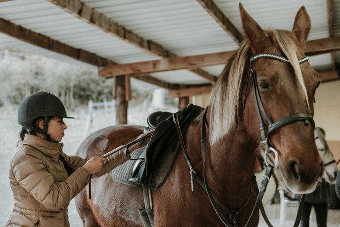 Woman putting saddle on horse