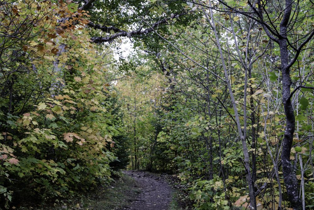 The Oberg Mountain Trail Head in Tofte, Minnesota