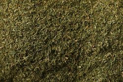 Close up of green dill