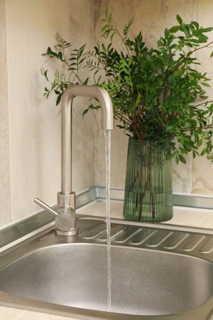 Kitchen sink with faucet and vase with plant