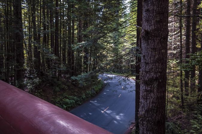 Looking down from wooden walkway at road
