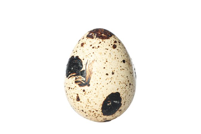 Raw quail egg isolated on blank background