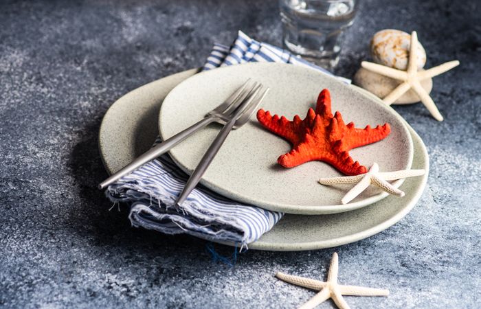 Summer concept with sea stars and shells on ceramic plates