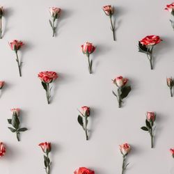 Colorful flowers pattern on light background