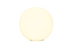 Delicious suluguni cheese isolated on plain background