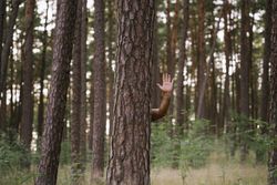 Adult man waving with hand behind tree