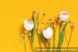 Spring flowers made of egg shells on yellow background with copy space 4OxE7b
