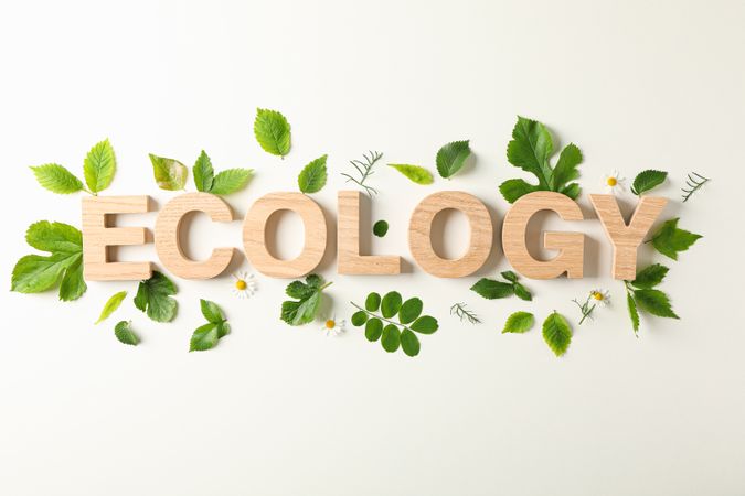 Inscription ecology and greenery on light background, space for text. Environmental protection. Agriculture