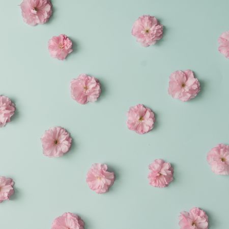 Pink flower pattern on blue pastel background