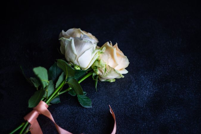 Flowers lying on dark background