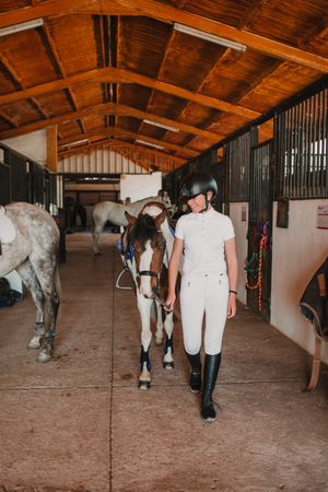 Jockey leading horse out of stable