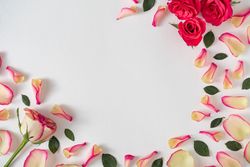 Creative layout made with rose petals and leaves