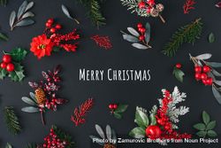 “Merry Christmas” surrounded with branches with mistletoe and pine on dark background 0JgVv5
