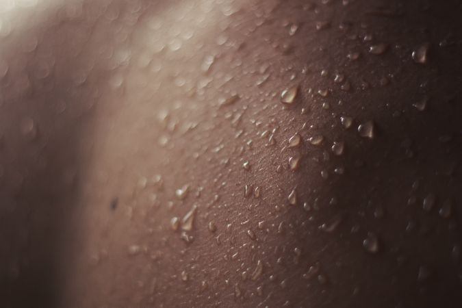 Close-up of a wet back