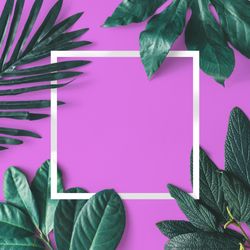 Green leaves on purple background with light frame