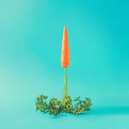 Carrot rocket launch on pastel sky blue background