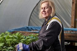 Older woman with plant box in greenhouse