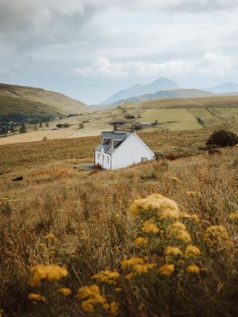 Rural house in field on summertime