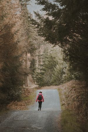Tourist walking on footpath in forest park