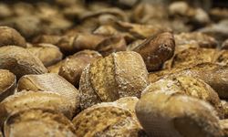 Bread buns assortment