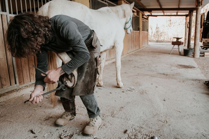 Man shoeing horse near stable