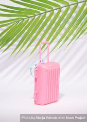 Cute plastic pink suitcase under palm leaf 4Mpwr5