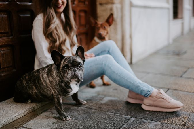 Stylish woman with dogs sitting on street