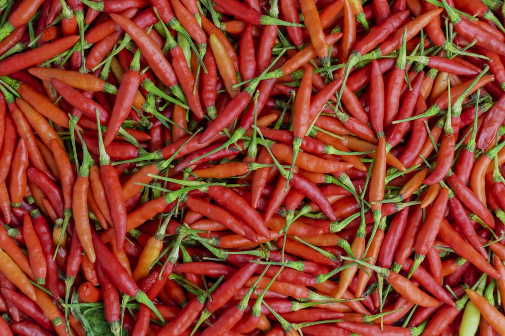 birds eye chili