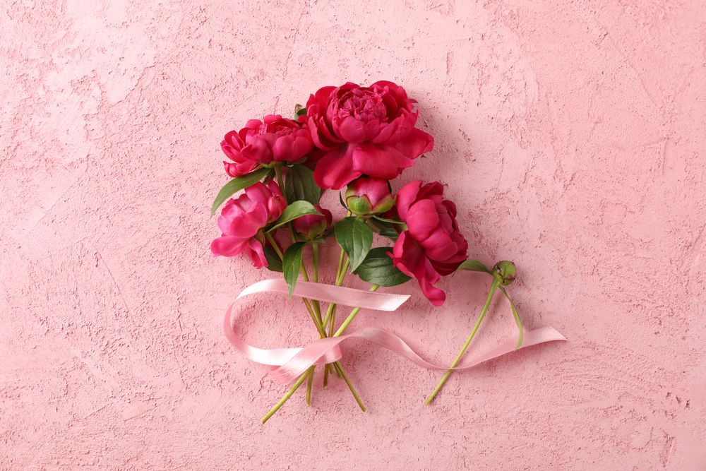 Bouquet of beautiful peonies and pink ribbon on color background, space for text